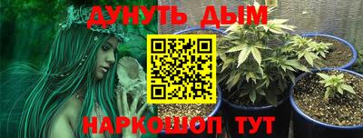 кокс Бийск