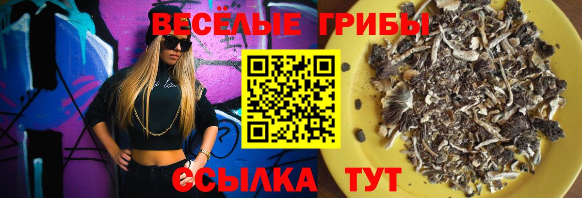 Качканар  Псилоцибиновые грибы Magic Shrooms  Вход с VPN 
